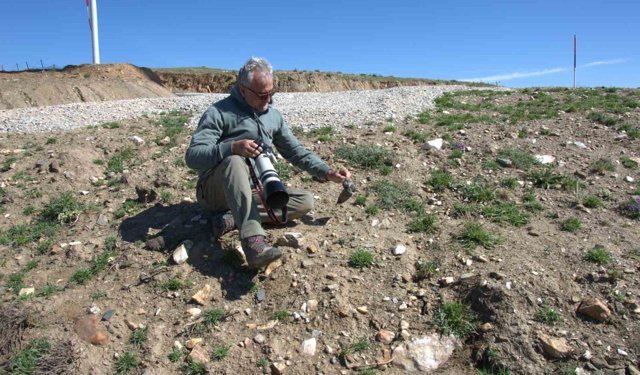 17 yeni memeli türü keşfedildi