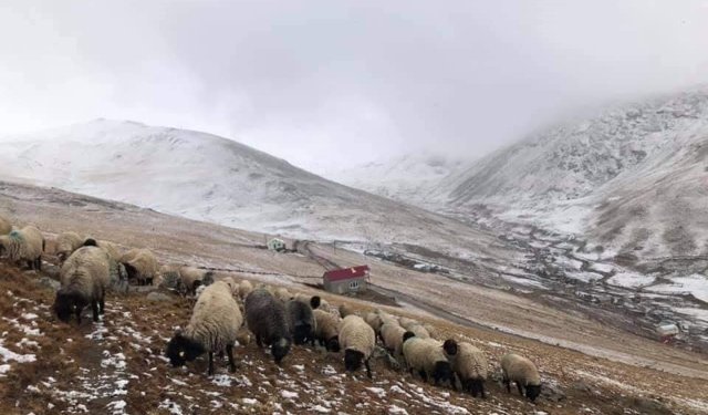 300 yıllık kullanıma müdahale tepki çekti