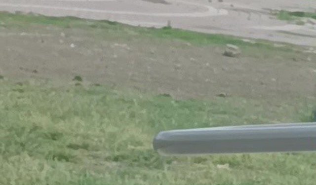 Adana'da tüfekli sopalı kavga kamerada