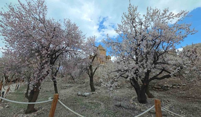 Akdamar Adası'nda renk cümbüşü