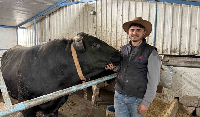 Aksiliklerinden kantara çıkamıyorlar: 4 yaşındaki dev tosunları gören bir daha bakıyor