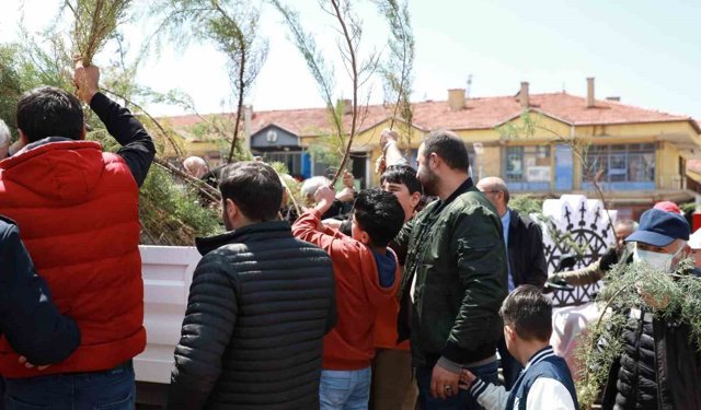 Alaca Belediyesi vatandaşlara 2 bin fidan dağıttı