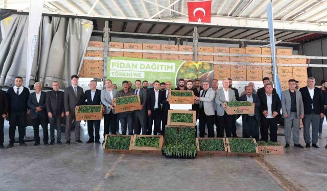 Arabanlı karpuz üreticisi çiftçilere yüzde 50 hibeli fide desteği