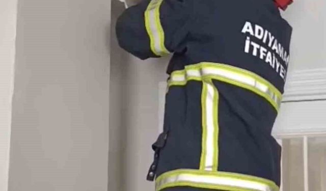 Asma tavanda sıkışan 4 yavru kedi kurtarıldı