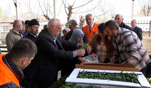 Atakumlu çiftçiye 100 bin sebze fidesi