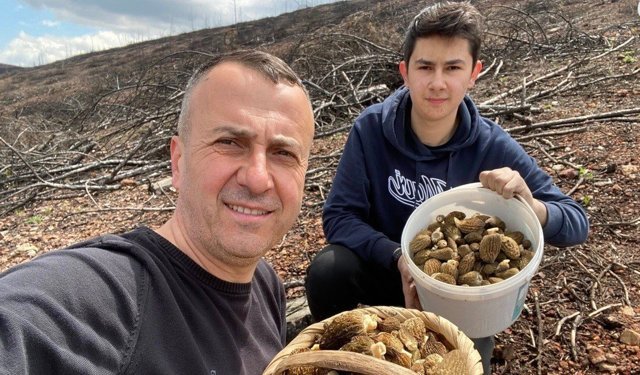 Baba ve oğlunun yüzünü güldüren mantar avı