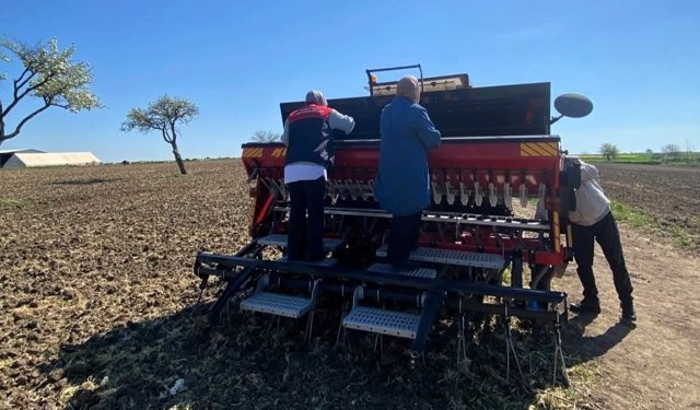 Babaeski'de aspir tohumu toprakla buluştu