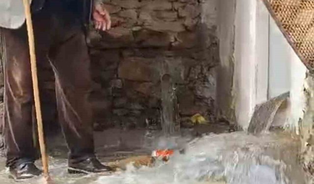 Bahçesaray'da dağlarda kar, mahallede sel