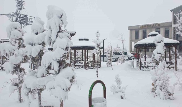 Başkale'de kar yağışı