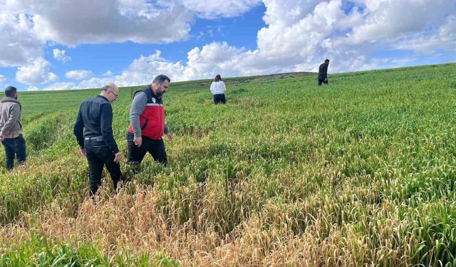 Batman'da çiftçilere 'yanlış ilaçlama' uyarısı