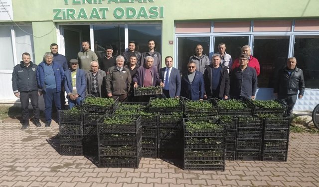 Bilecik'te 8 bin çilek fidesi üreticiyle buluştu