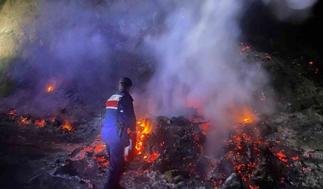 Bilecik'te otluk alanda çıkan yangın korkuttu