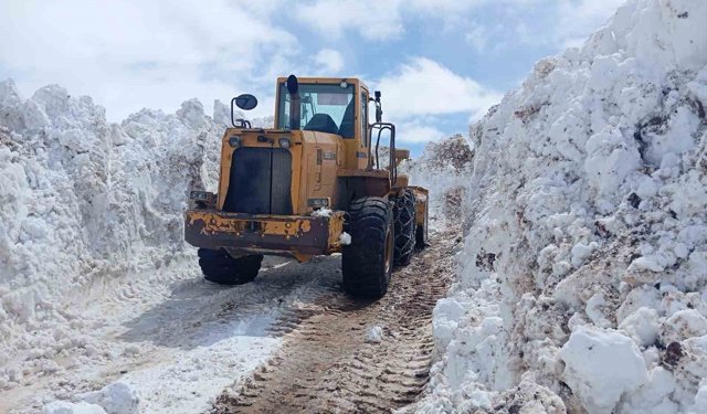 Bingöl'de metrelerce karla mücadele