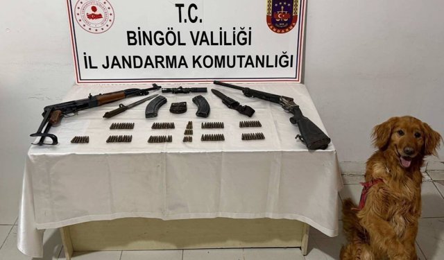 Bingöl'de silah ve mühimmat ele geçirildi
