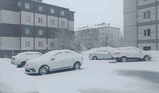 Bitlis nisan ayında yeniden beyaza büründü