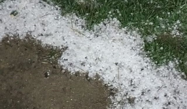 Bolu'da sabaha karşı yağan dolu yeşil alanları beyaza bürüdü