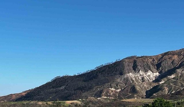 Buldan'da 5 gün süren yangının izleri dağlarda kaldı