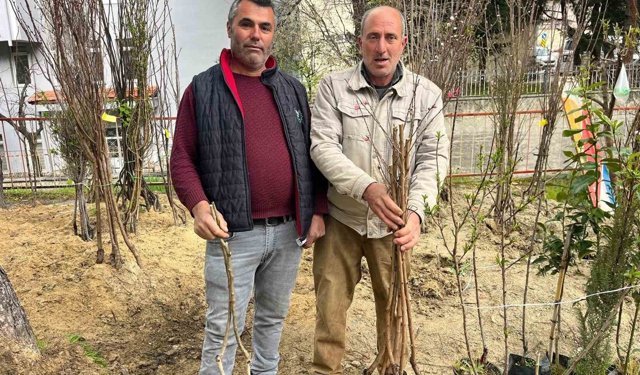 Buldan'ın bereketli toprakları fidanlarla canlanıyor