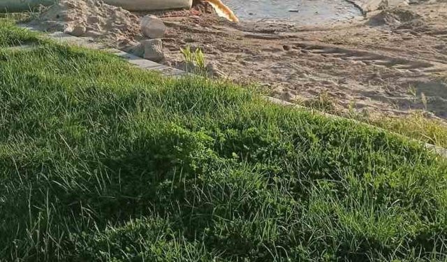 Burhaniye'de denize akan pis sular tepkiye neden oldu