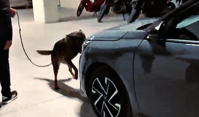 Çanakkale'de farklı suçlardan aranması bulunan 97 kişi yakalandı