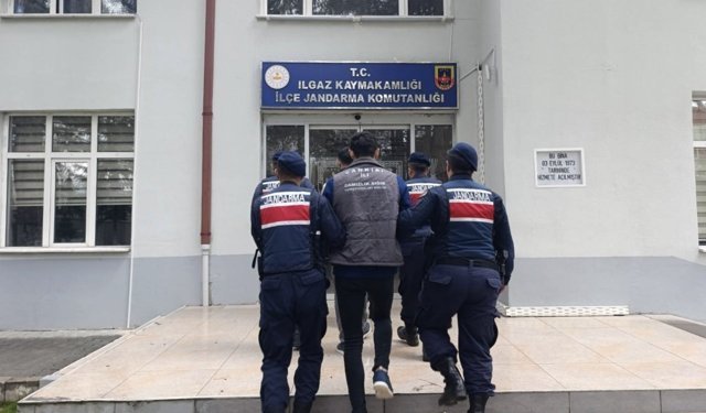 Çankırı'da büyükbaş hayvan çalan şahıslar tutuklandı