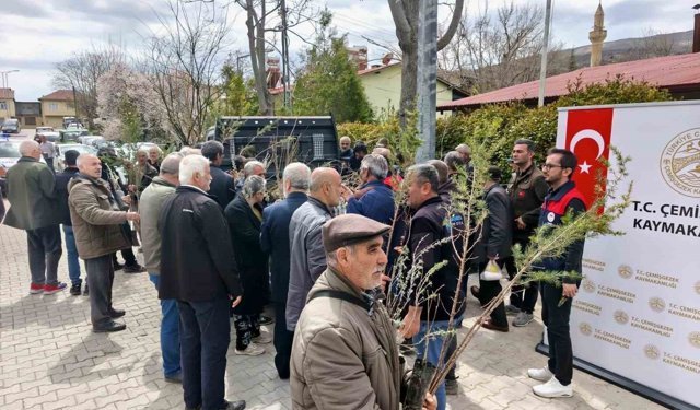 Çemişgezek'te vatandaşlara ücretsiz fidan dağıtıldı
