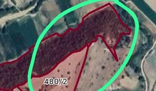 Definecilerin hedefi olan Derbent sit alanı ilan edildi