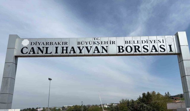 Diyarbakır Canlı Hayvan Borsası tadilata alındı
