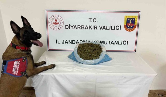 Diyarbakır'da 23 kilo esrar ele geçirildi
