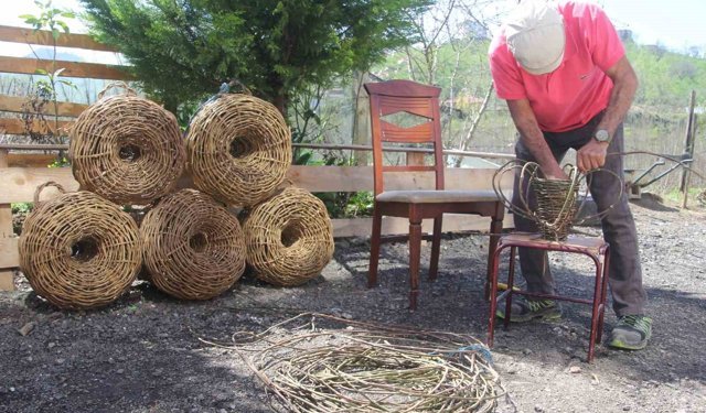 Doğadan topluyor, türkülerle örüyor: 45 yıllık usta dikenli sarmaşıktan balık sepeti örüyor
