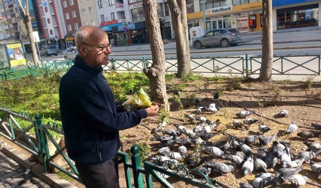 Dükkanının önüne gelen onlarca güvercini doyuruyor