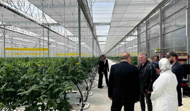 Düzce'den Seracılık İhtisas Organize Tarım Bölgesi'nde inceleme