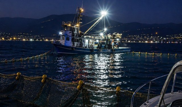 Gemlik Körfezi'nde sardalya avcılığı başladı