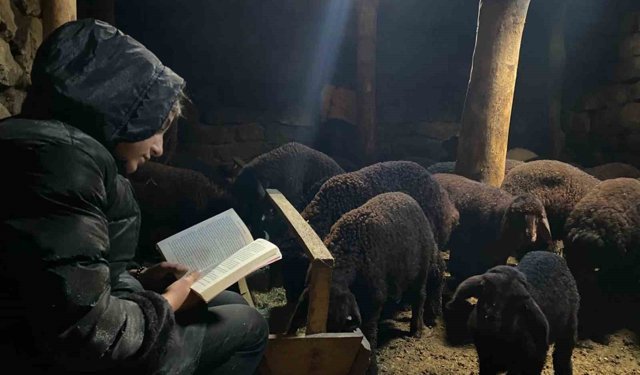 Gündüz hayvan bakıyor gece hayalleri için çalışıyor