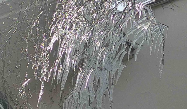 Hava sıcaklığı eksi 10'a düştü, ağaç dalları dondu