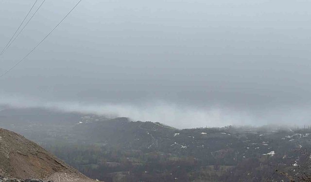 Hizan'da yoğun sis