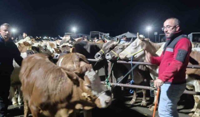 İç Anadolu'nun en büyük hayvan pazarında yoğun kurban mesaisi başladı