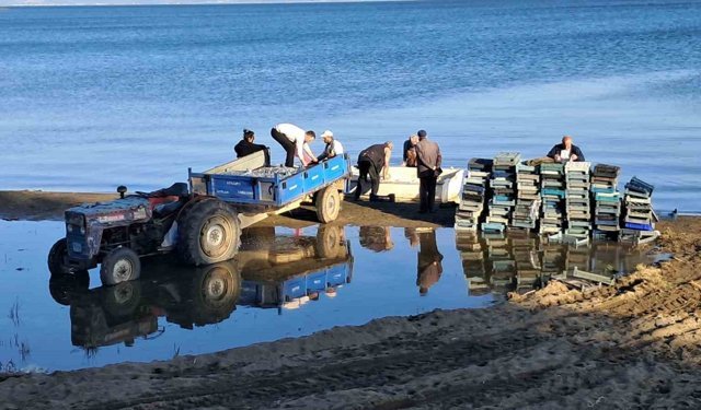 İznik Gölü'nde bereketli sezon...Gümüş balığında yüzler gülüyor