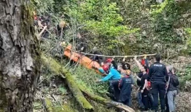 Kalp krizi geçirip dereye düştü