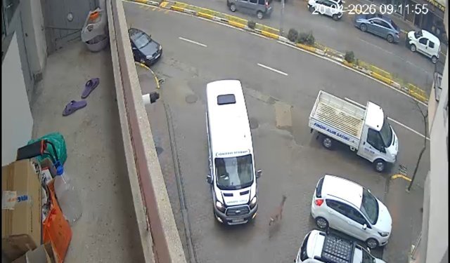 Karaca Giresun'un Görele ilçesinde şehir merkezine indi: iki araca çarptı, gözden kayboldu