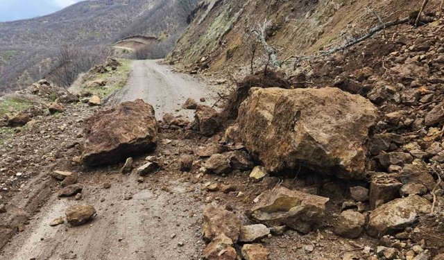 Karakoçan'da toprak kayması