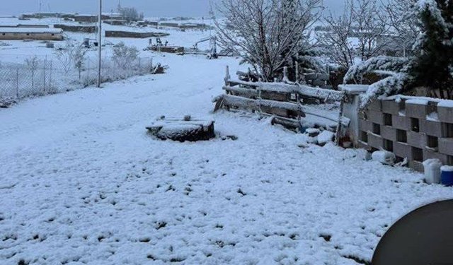 Karapınar'da nisan ayında kar yağışı