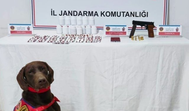 Kastamonu'da uyuşturucu operasyonu: 1 tutuklama