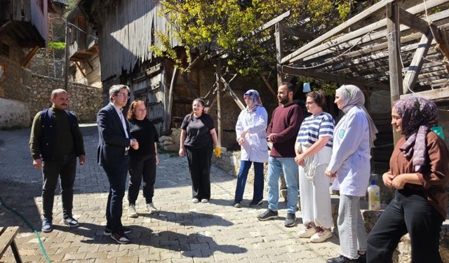 Kaymakam Arıkan'dan Apçağa köyünde restorasyon çalışmaları incelemesi