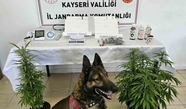 Kayseri'de uyuşturucu operasyonu