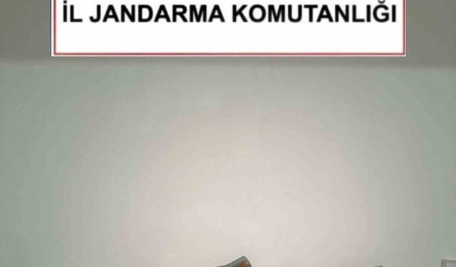 Kırşehir'de kaçak kazıya suçüstü: 2 gözaltı