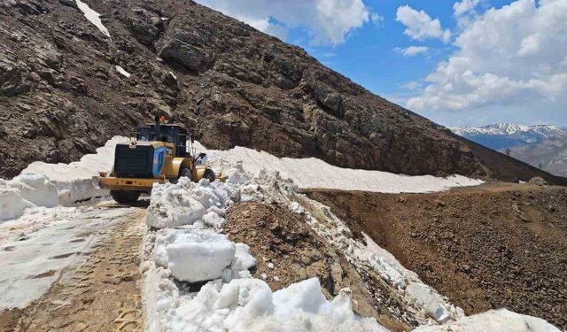 Kulp'ta çığ ve heyelan nedeniyle hasar gören yollar onarılıyor