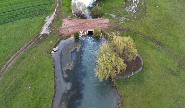 Leyleklerin durağı yemyeşil görüntüsüyle mest ediyor