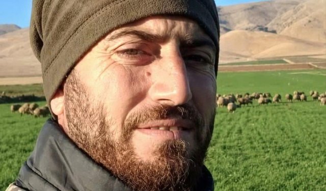 Mardin'de çoban cinayeti soruşturmasında 5 tutuklama