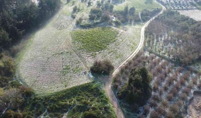 Mersin'de misket büyüklüğünde dolu etkili oldu: Orman ve bahçeler beyaza büründü